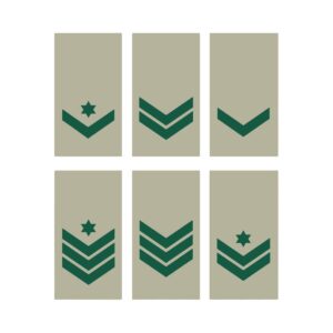 דרגות ב נגדים